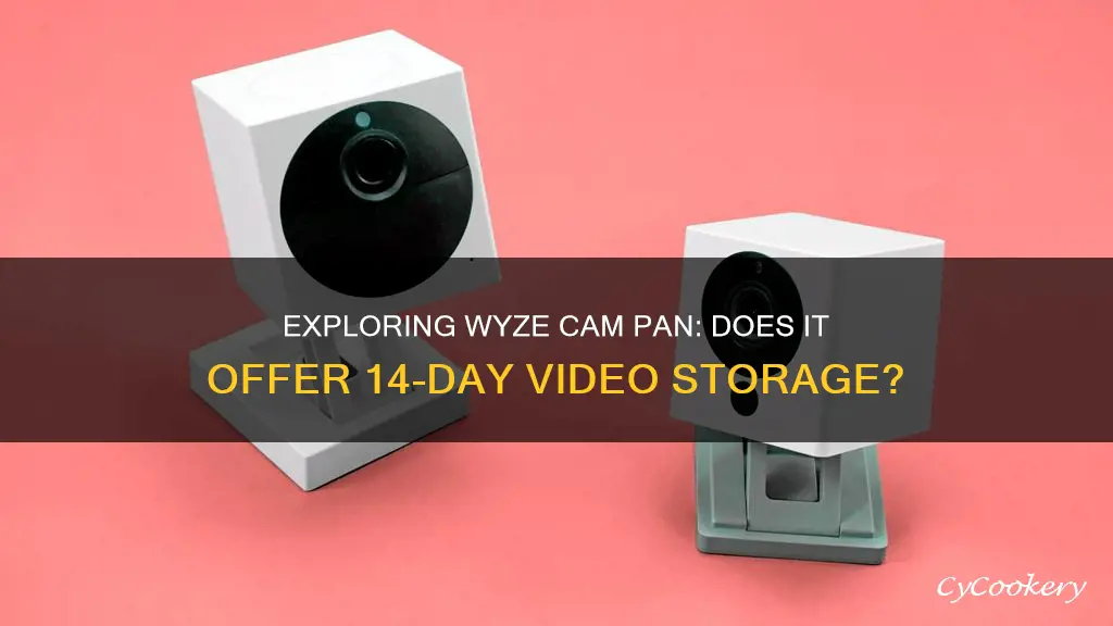 does wyze cam pan have 14 day roll storage