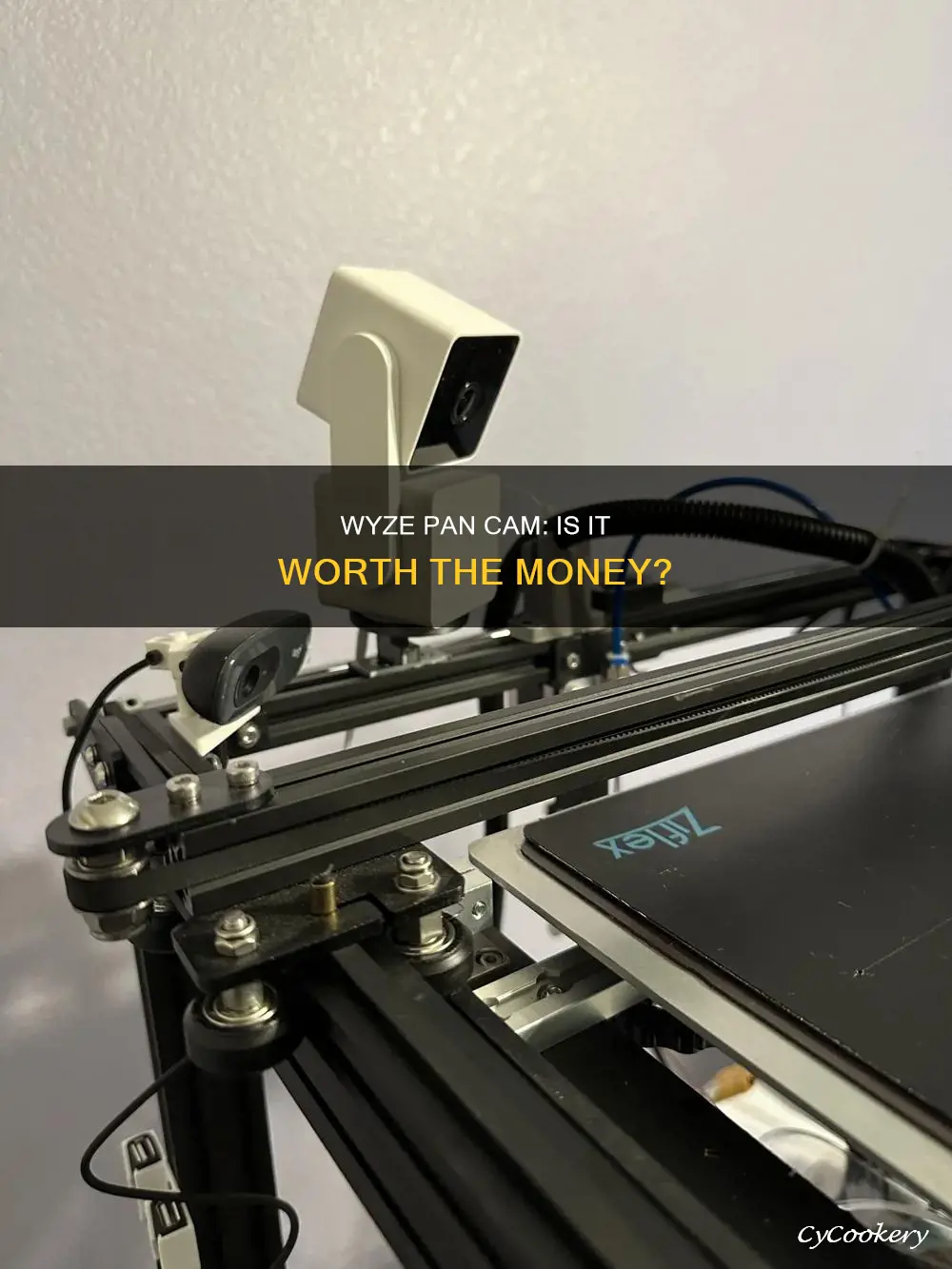 does wyze pan cam