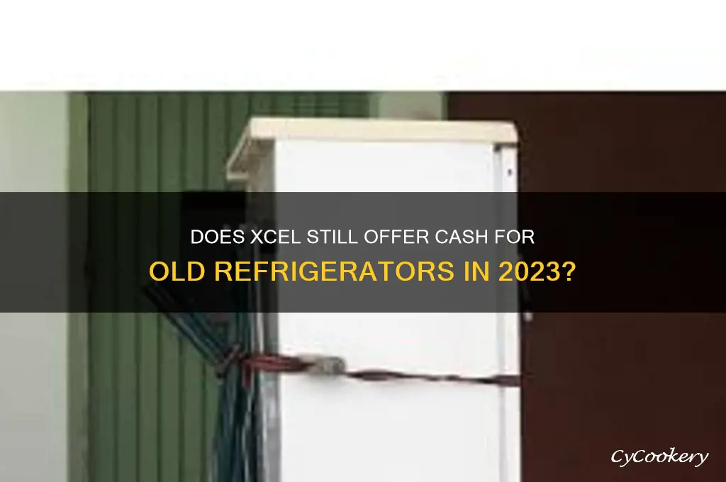 does xcel still pay for old refrigerators