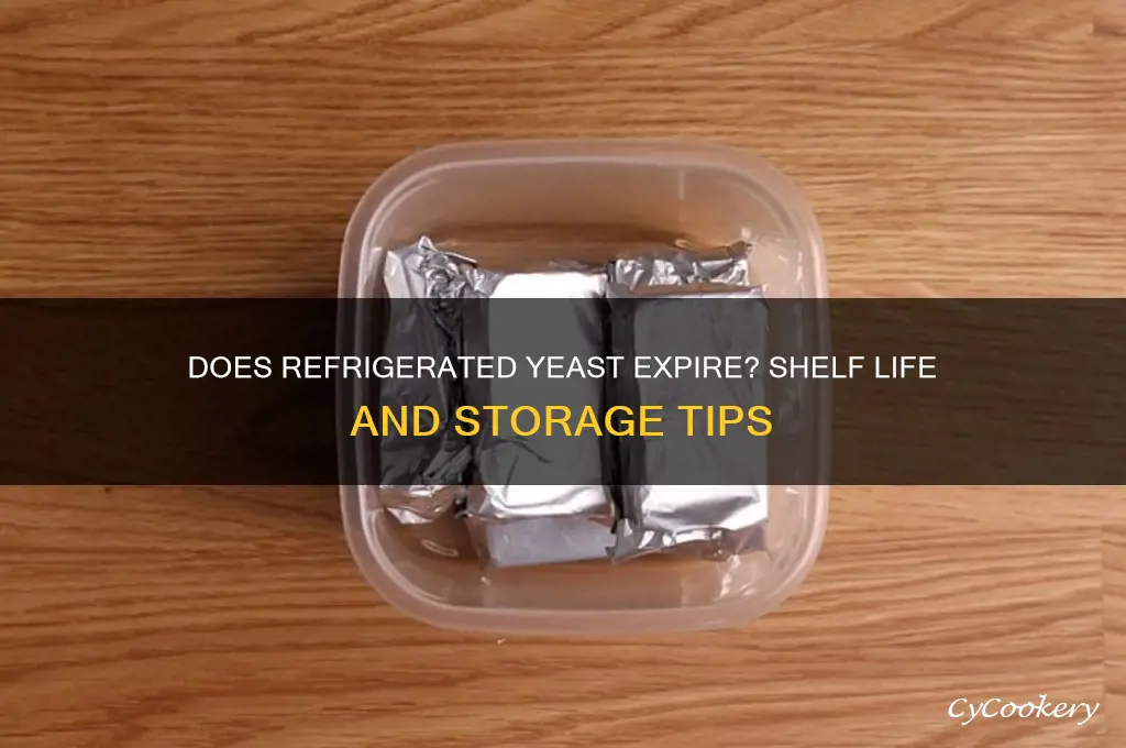 does yeast go bad if kept refrigerated