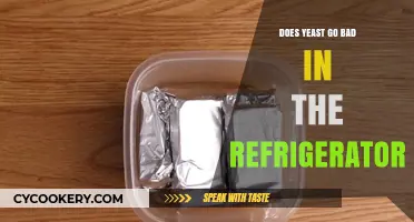Does Refrigerated Yeast Expire? Shelf Life and Storage Tips