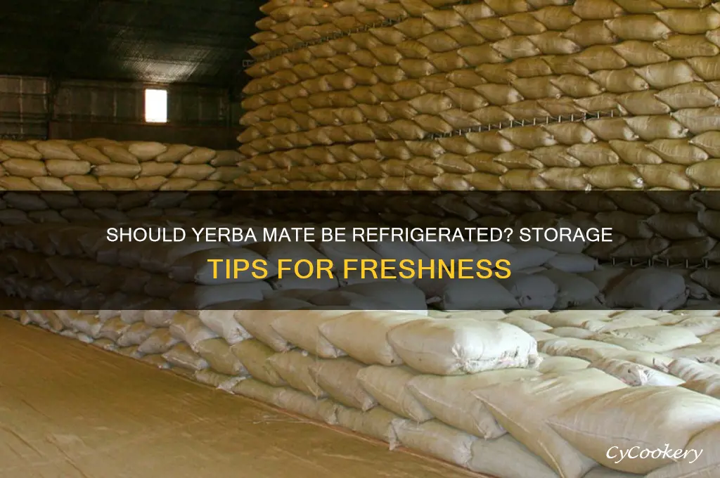does yerba mate have to be refrigerated