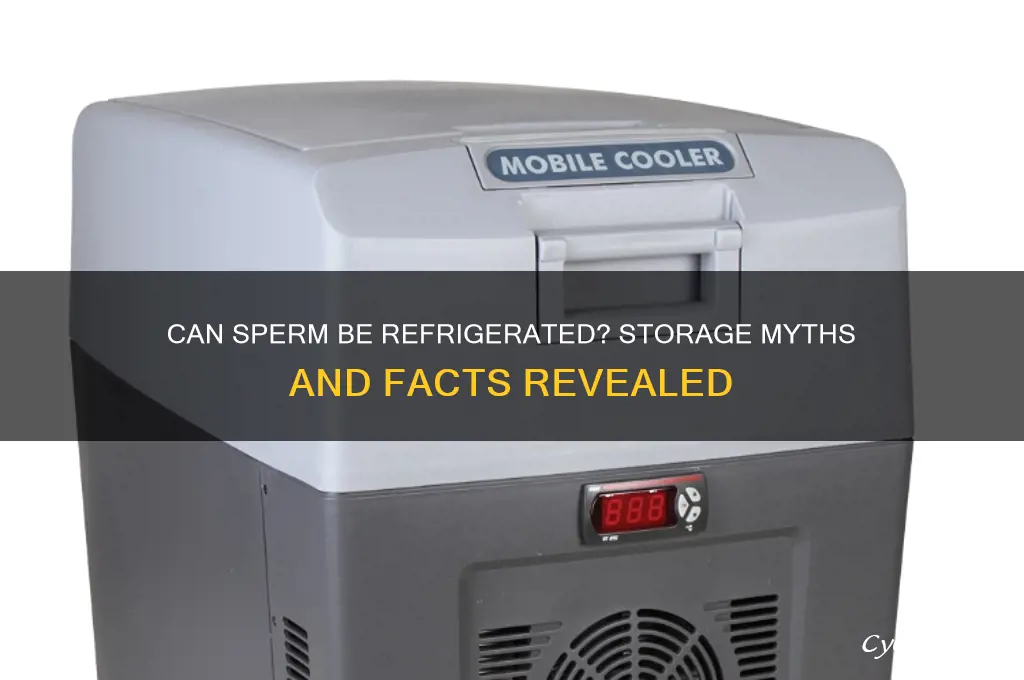 does your sperm go bad if refrigerated