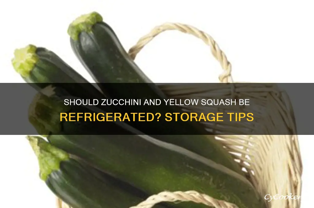 does zucchini and yellow squash have to be refrigerated