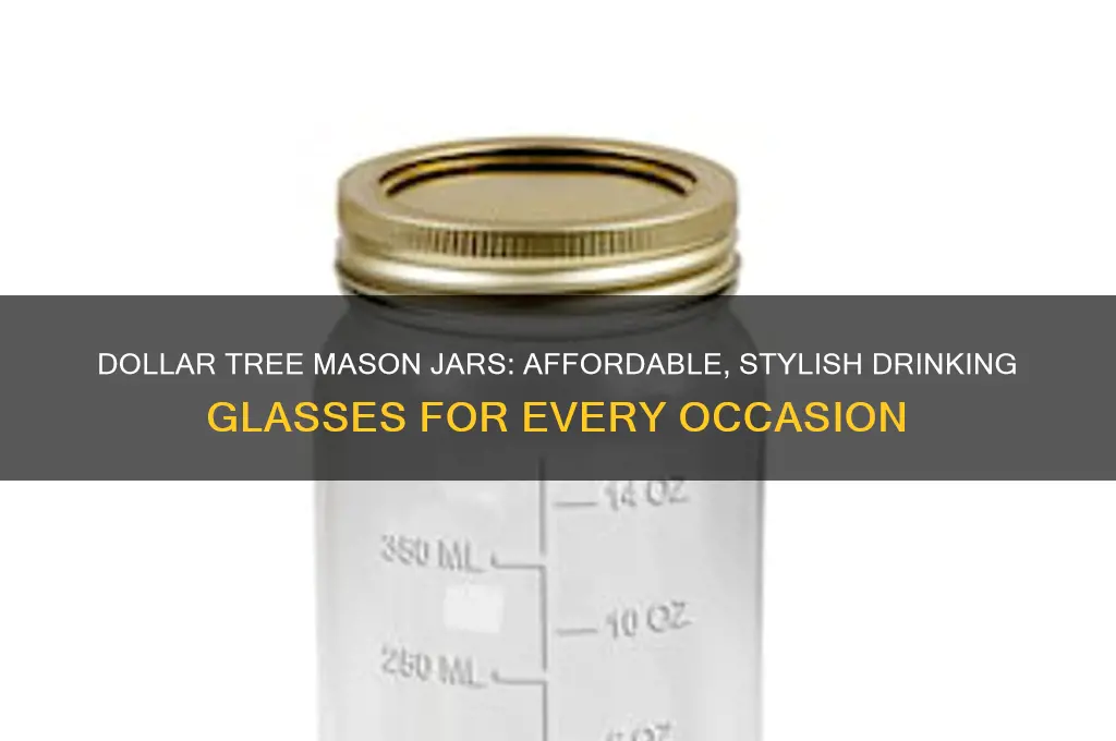 dollar tree mason drinking jars
