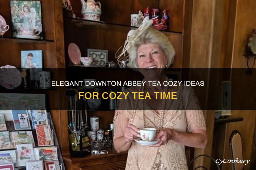 downton abbey tea cozy