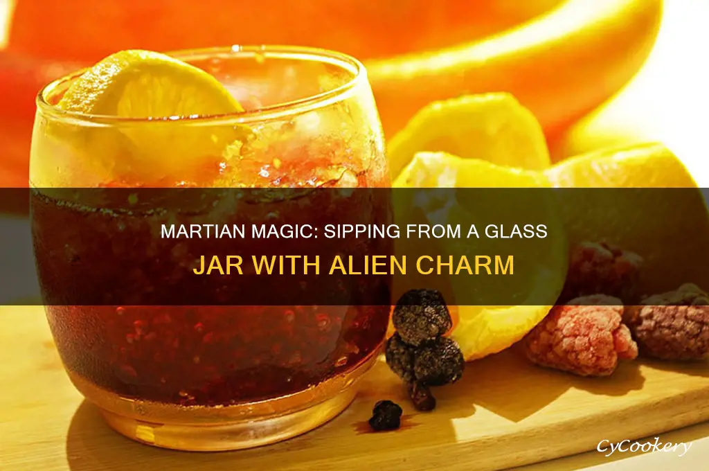 drink in a glass jar with martians on it