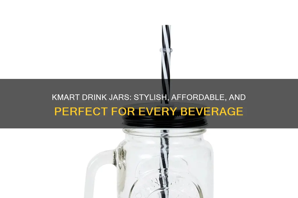 drink jar kmart