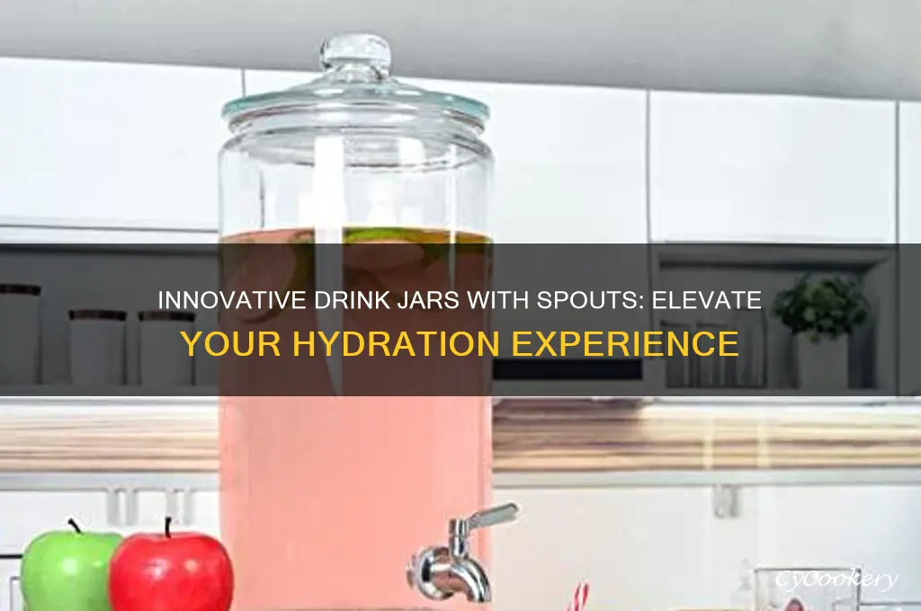 drink jar with spout