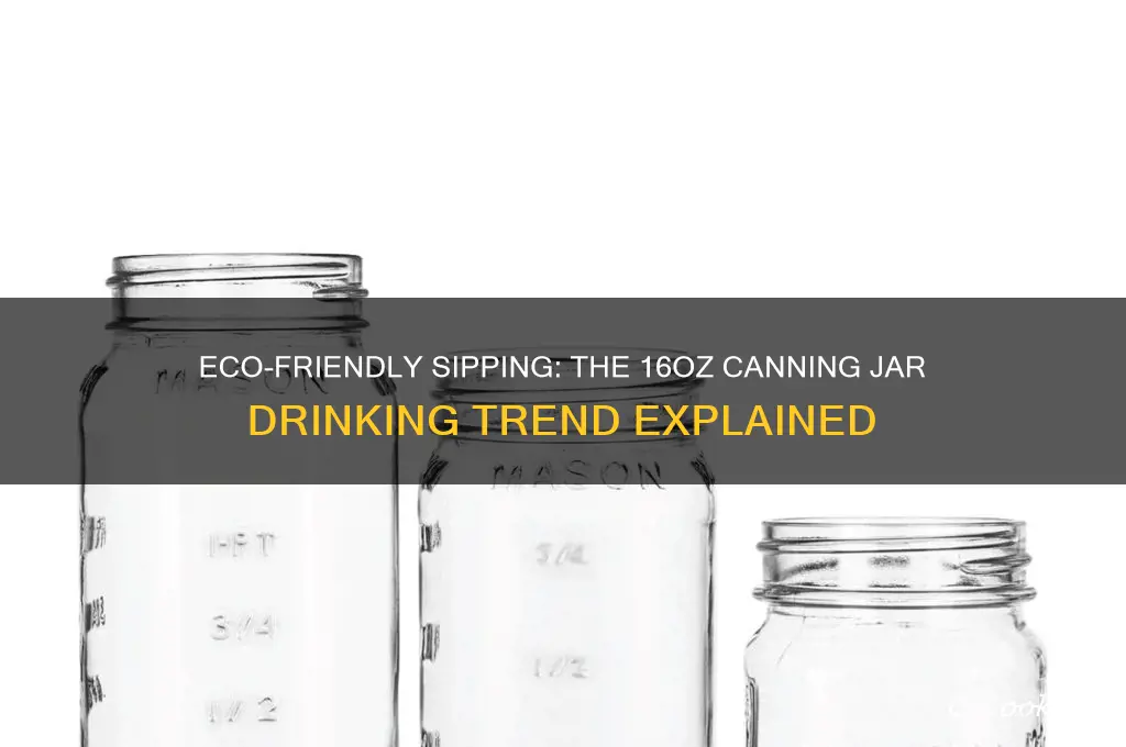drinking canning jar 16ox