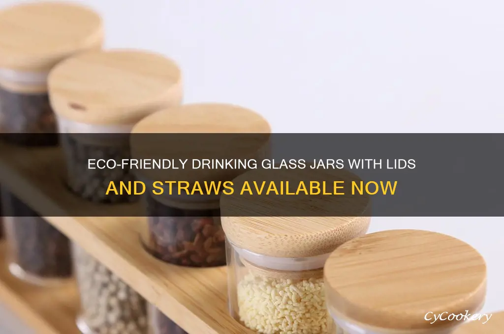 drinking glass jars with lids and straws for sale