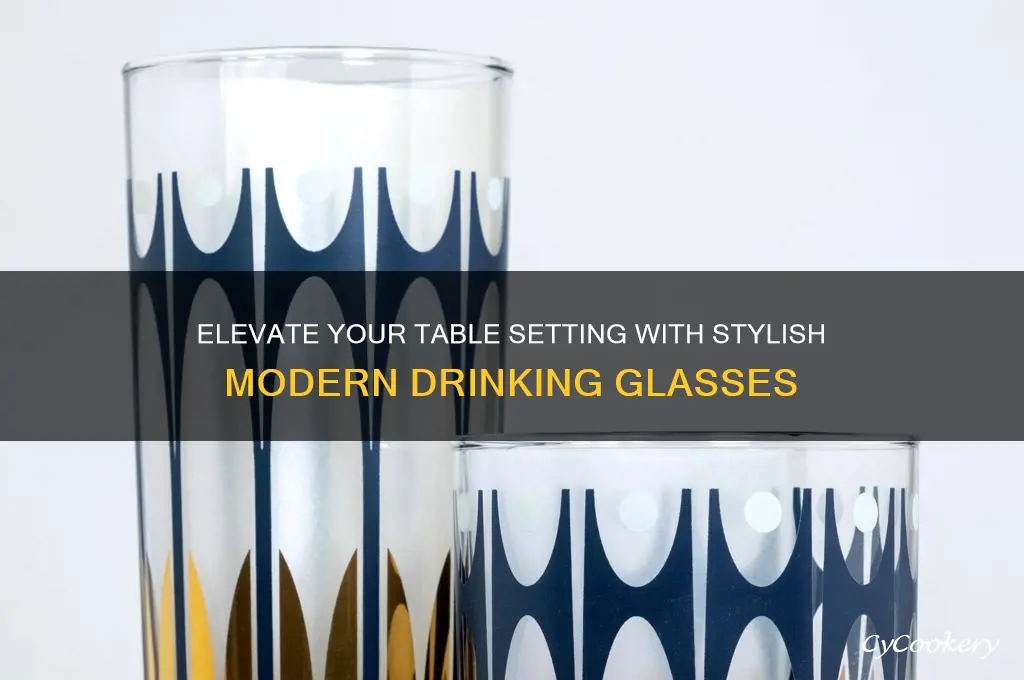 drinking glasses modern