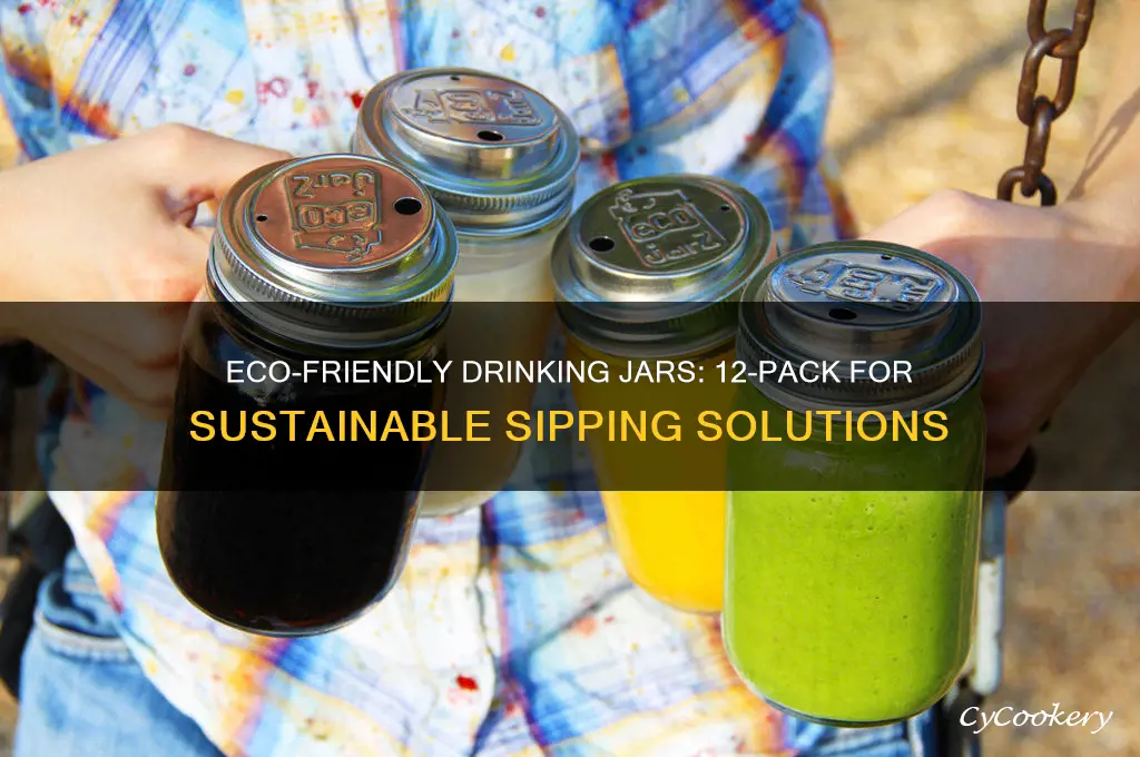 drinking jar 12 pack