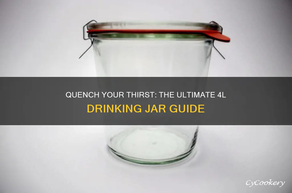 drinking jar 4l