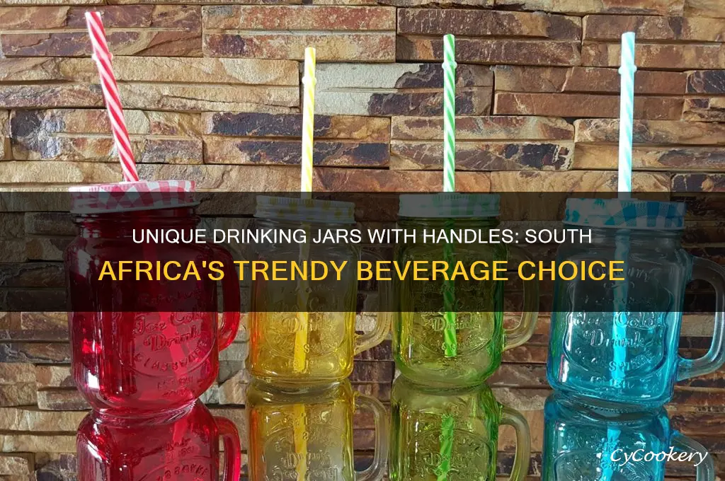 drinking jar with handle south africa