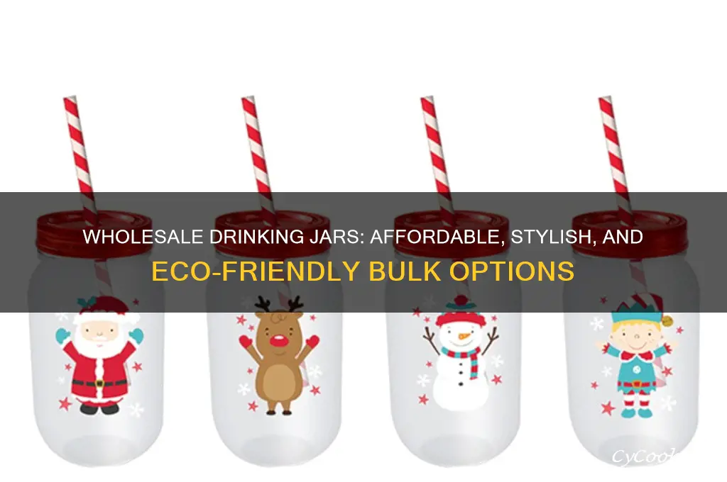 drinking jars wholesale
