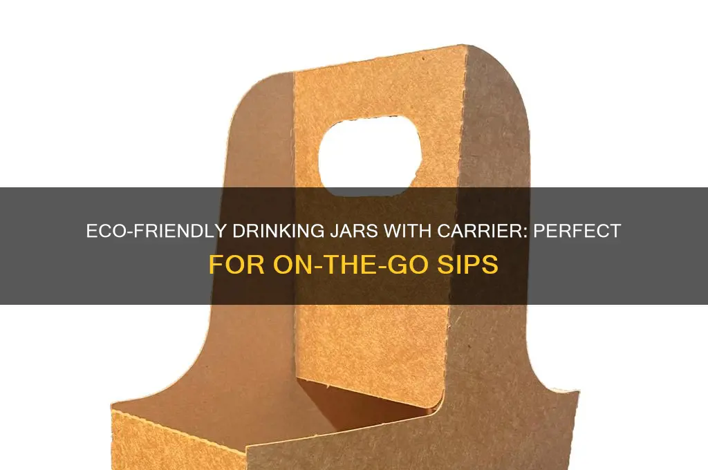 drinking jars with carrier