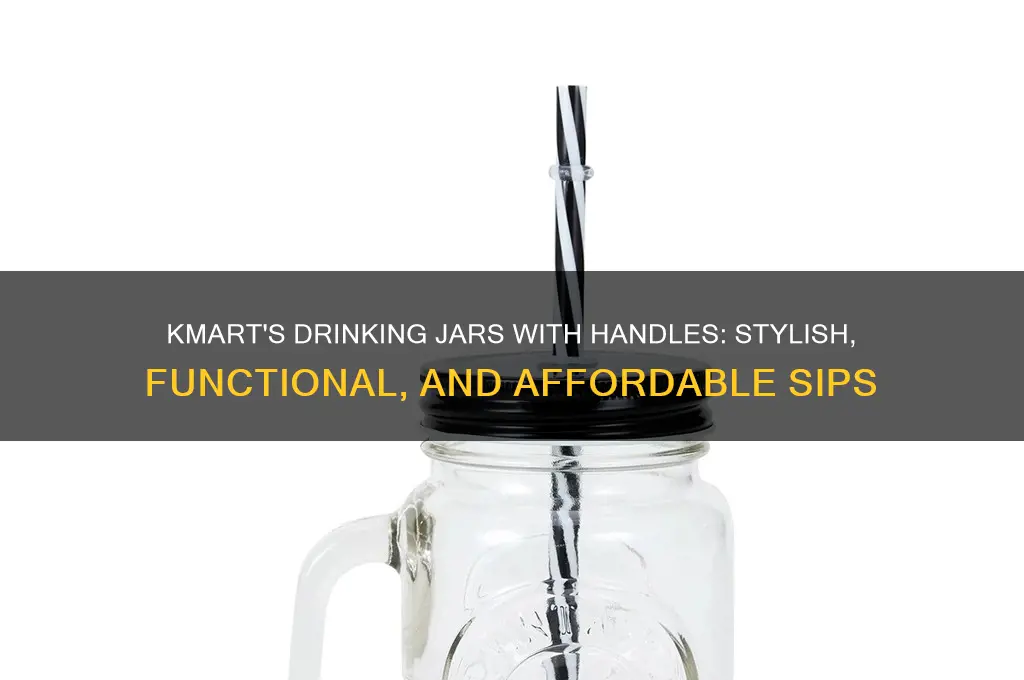 drinking jars with handles kmart