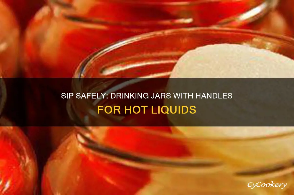 drinking jars with handles regular mouth hot liquid