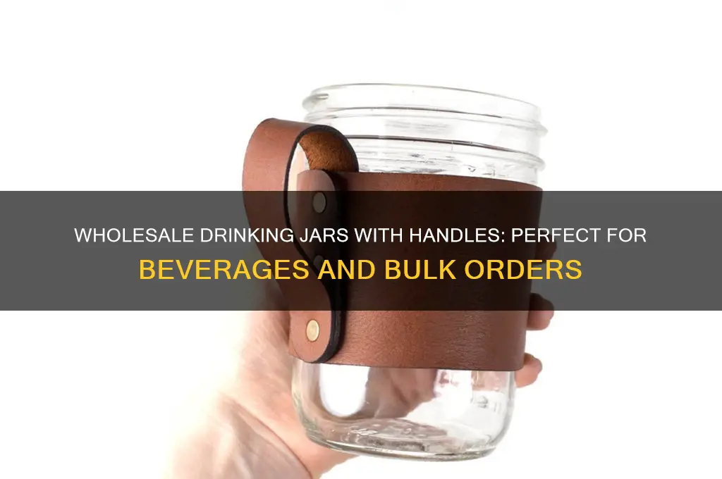 drinking jars with handles wholesale