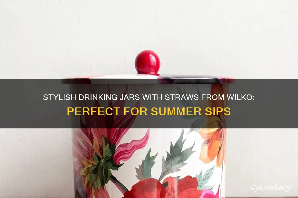 drinking jars with straws wilko