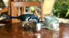 drinking jars