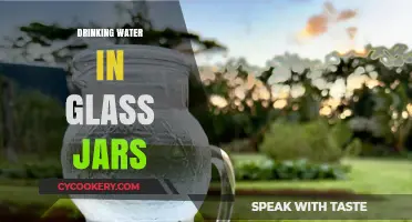 Eco-Friendly Hydration: Benefits of Drinking Water in Glass Jars
