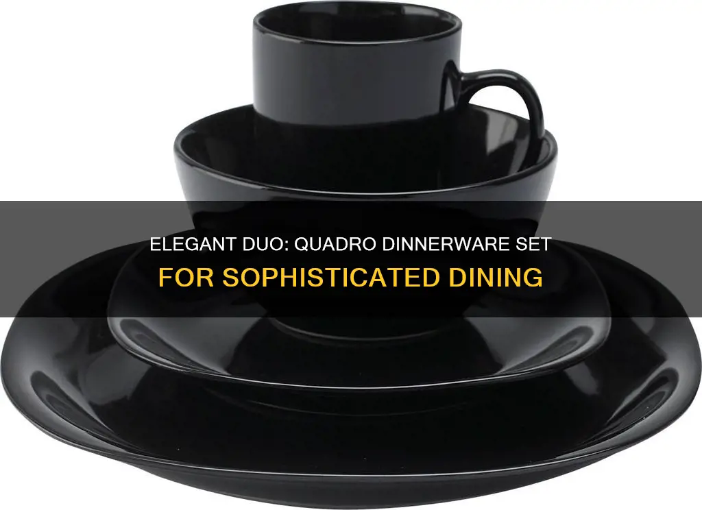 duo quadro 16 pc dinnerware set