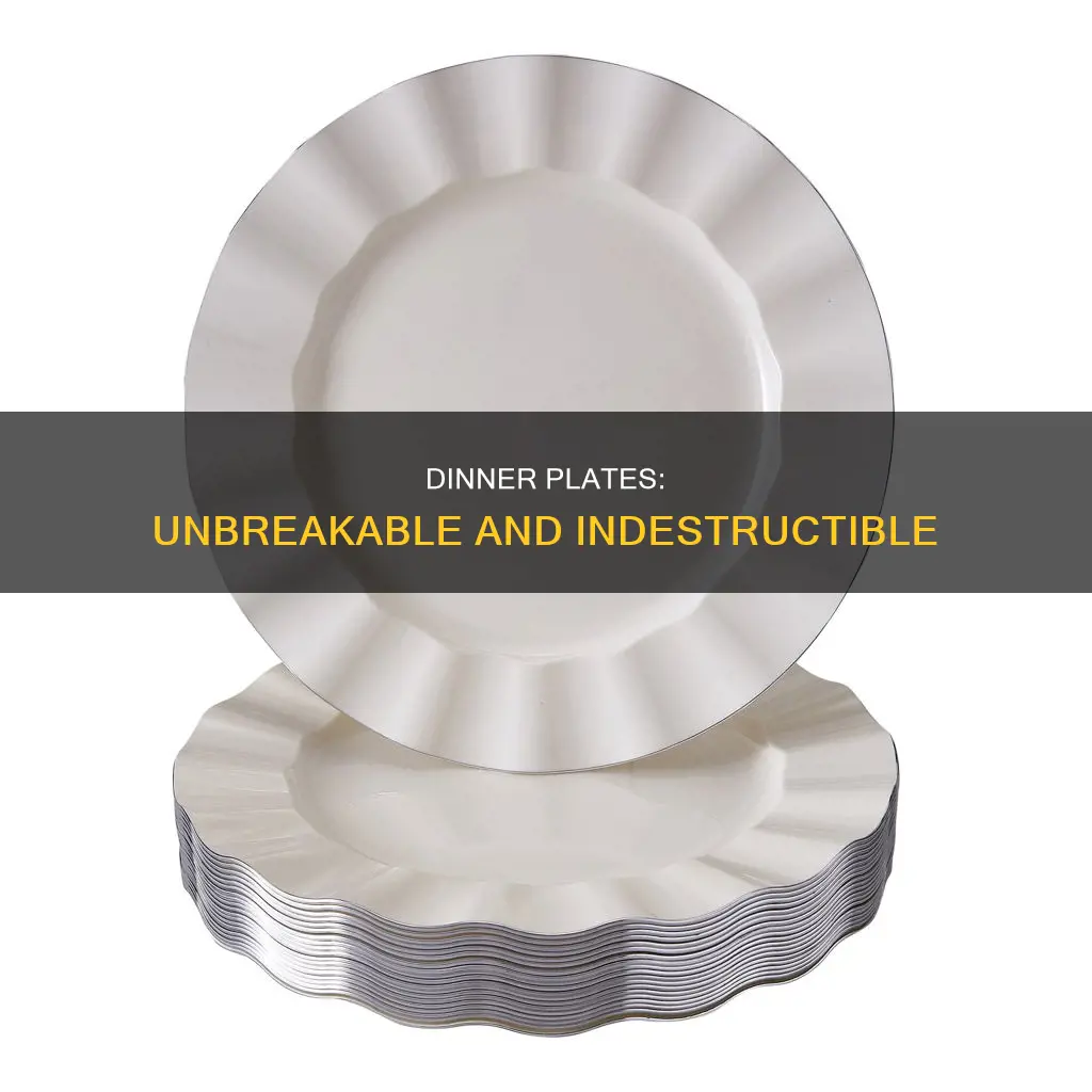 durable dinner plates