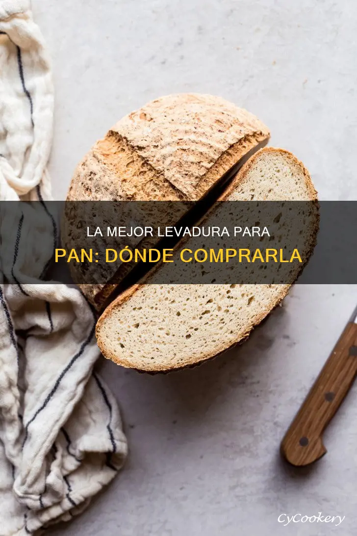 dónde comprar levadura para hacer pan