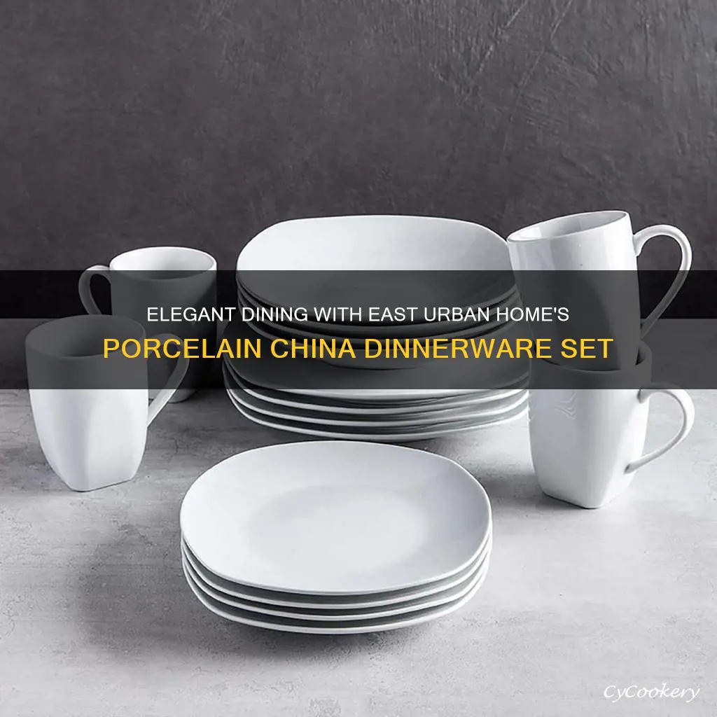 east urban home porcelain china dinnerware set