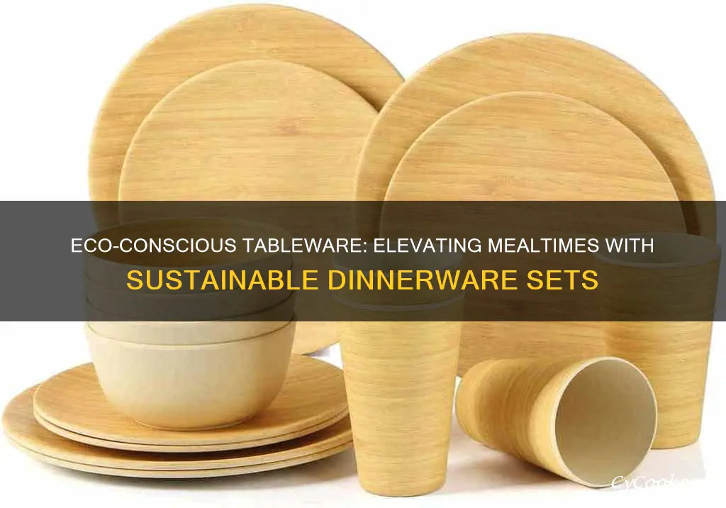 eco friendly dinnerware sets