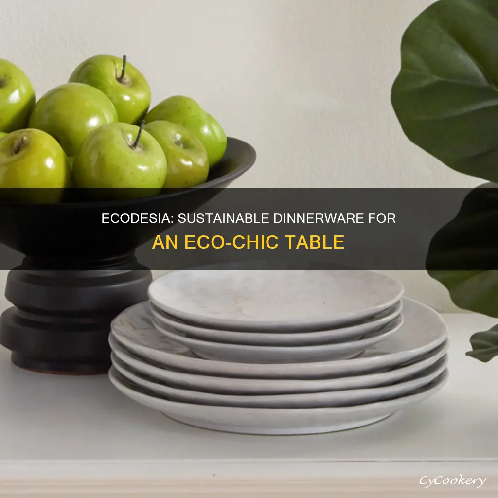 ecology dinnerware set