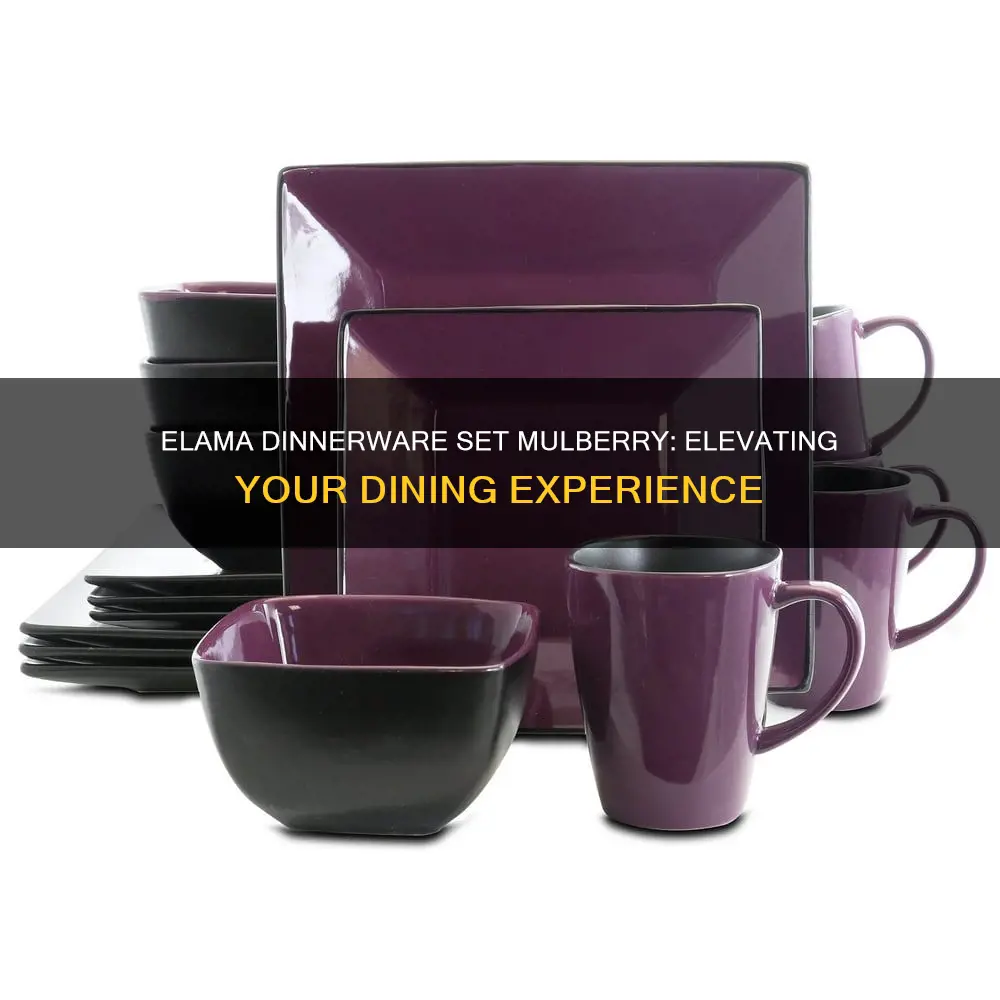 elama dinnerware set mulberry