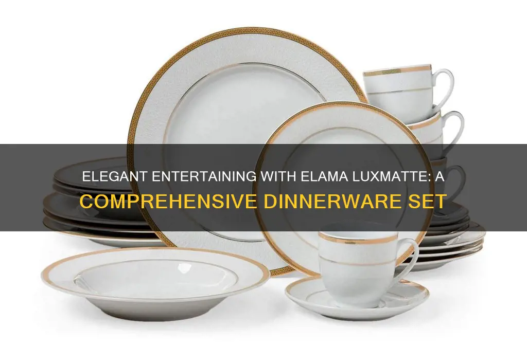 elama luxmatte 20 piece dinnerware set