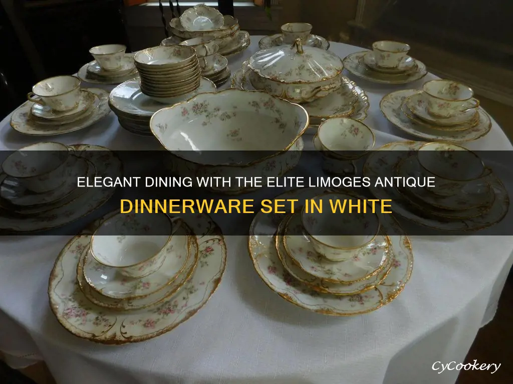 elite limoge antique dinnerware set white