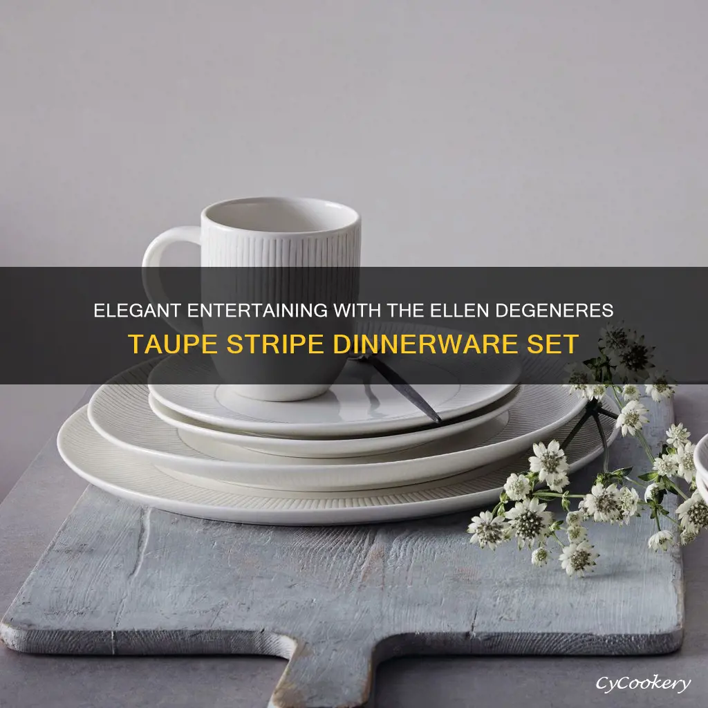 ellen degeneres by royal doulton 16pc dinnerware set taupe stripe