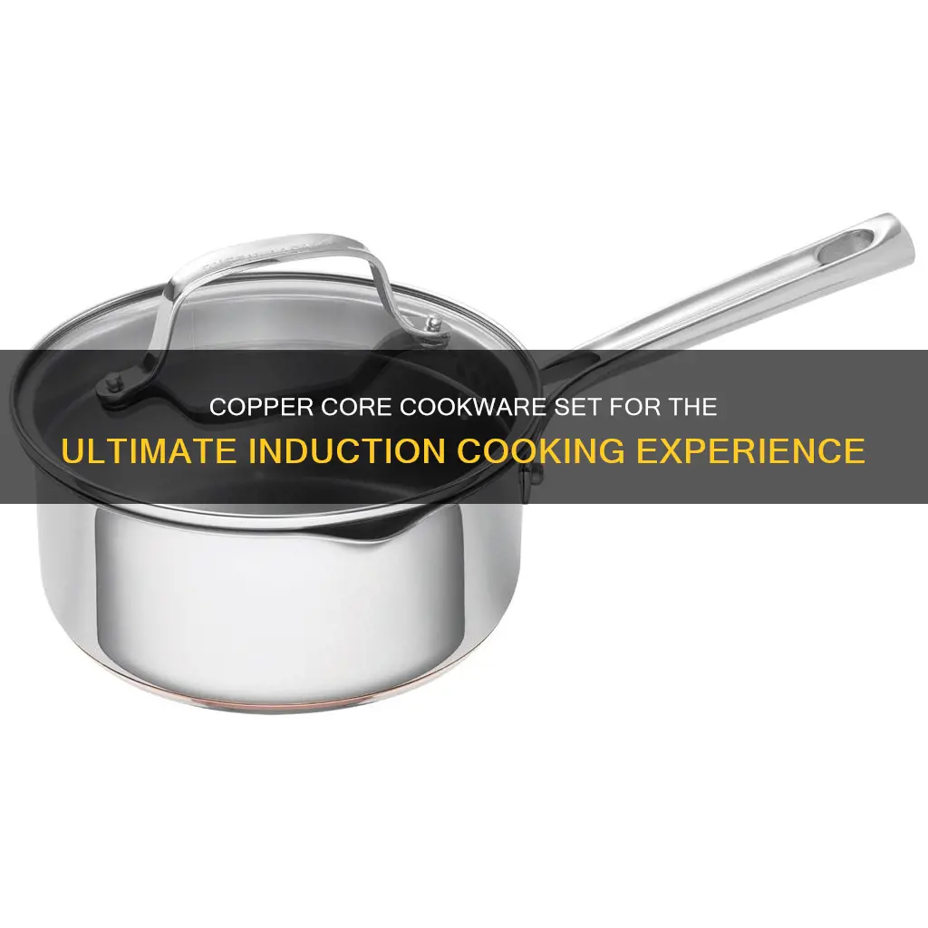 emeril 12 piece copper core cookware set induction ready