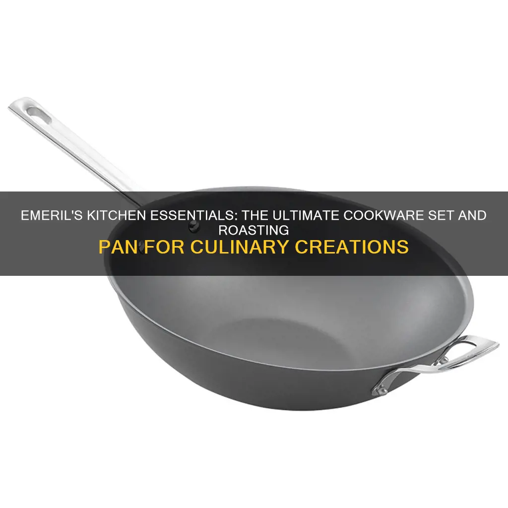 emeril cookware set and roasting pan