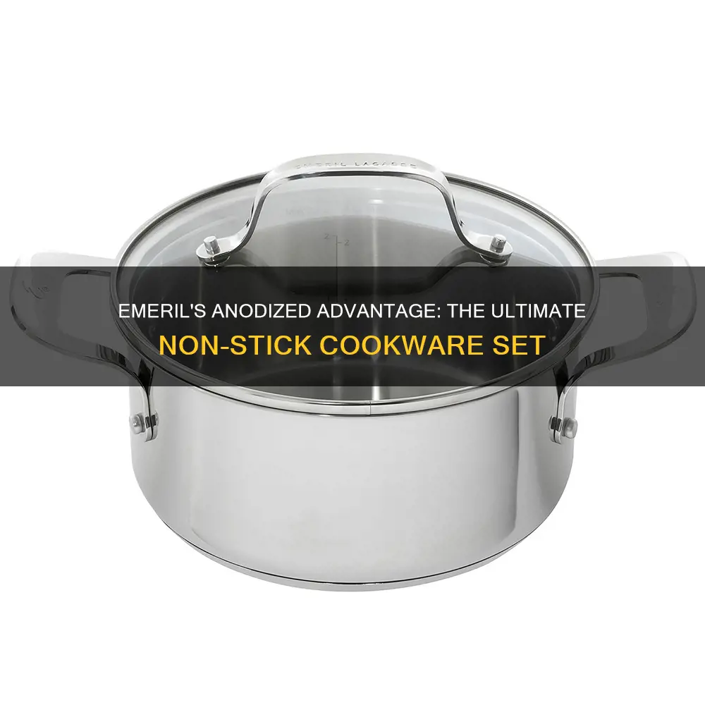 emeril lagasse non-stick hard anodized 12-piece cookware set