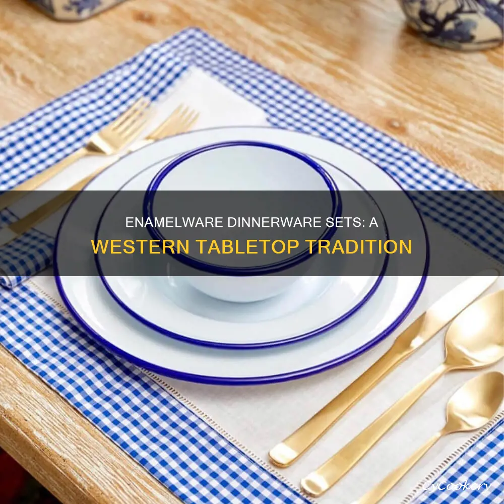 enamelware dinnerware set western