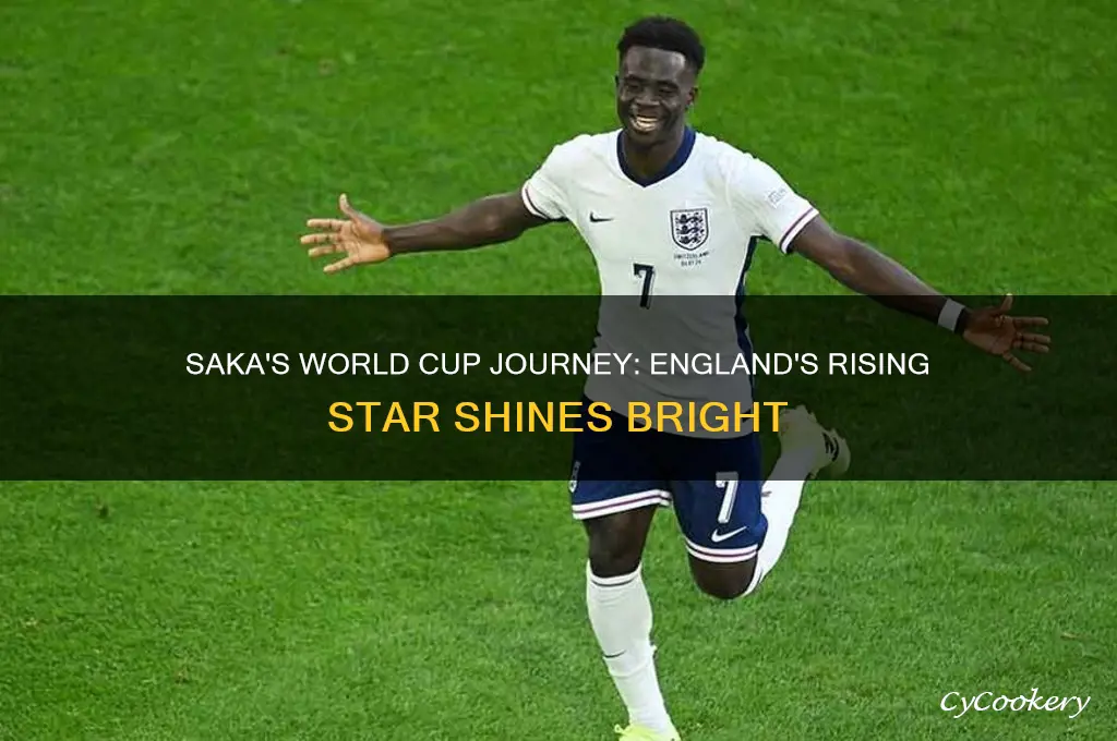 england world cup saka