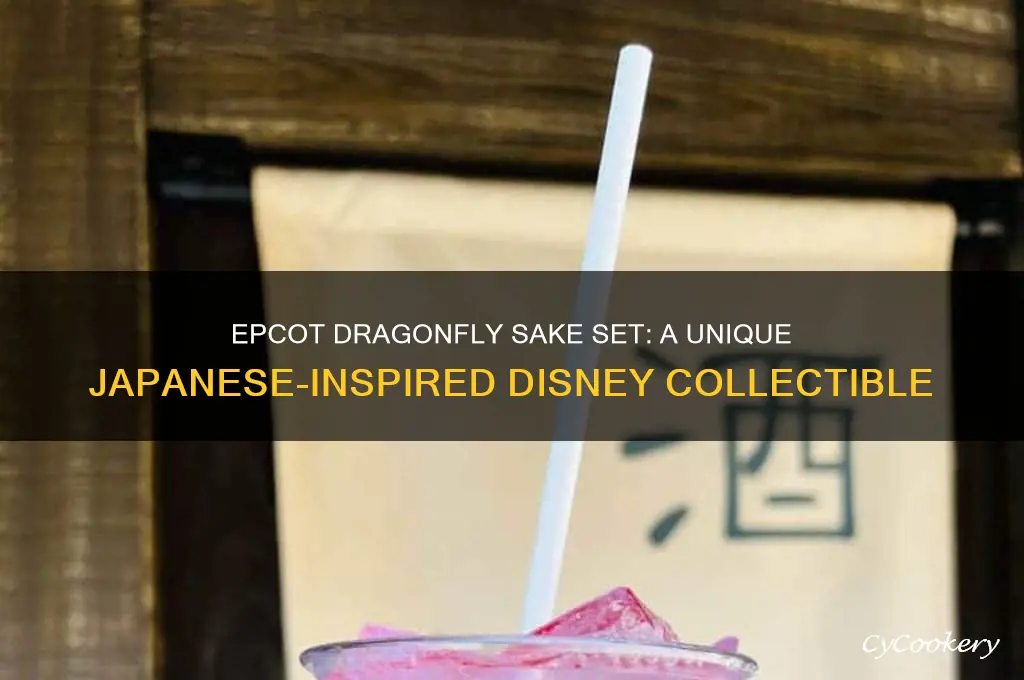 epcot dragonfly sake set