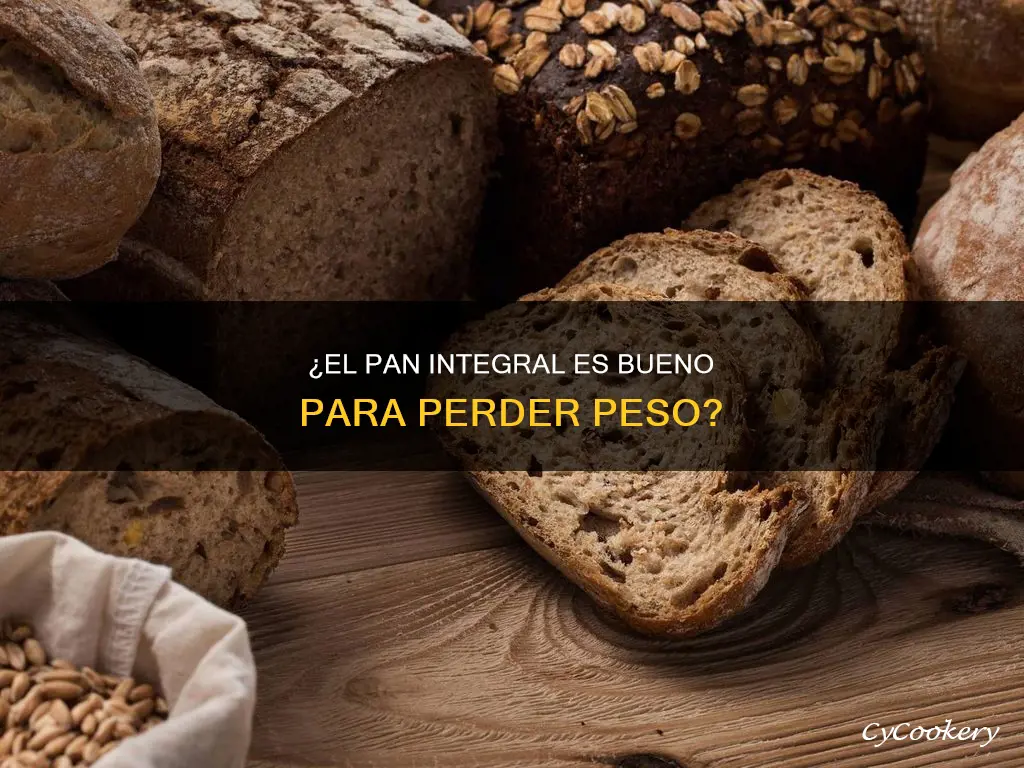 es bueno el pan integral para la dieta