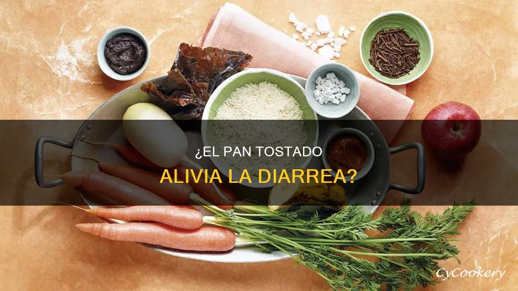 es bueno el pan tostado para la diarrea