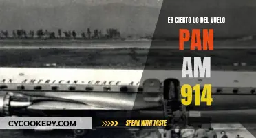 ¿Qué sucedió en el vuelo Pan Am 914?