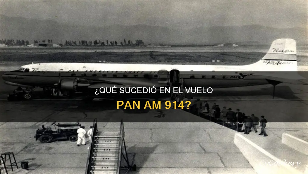 es cierto lo del vuelo pan am 914