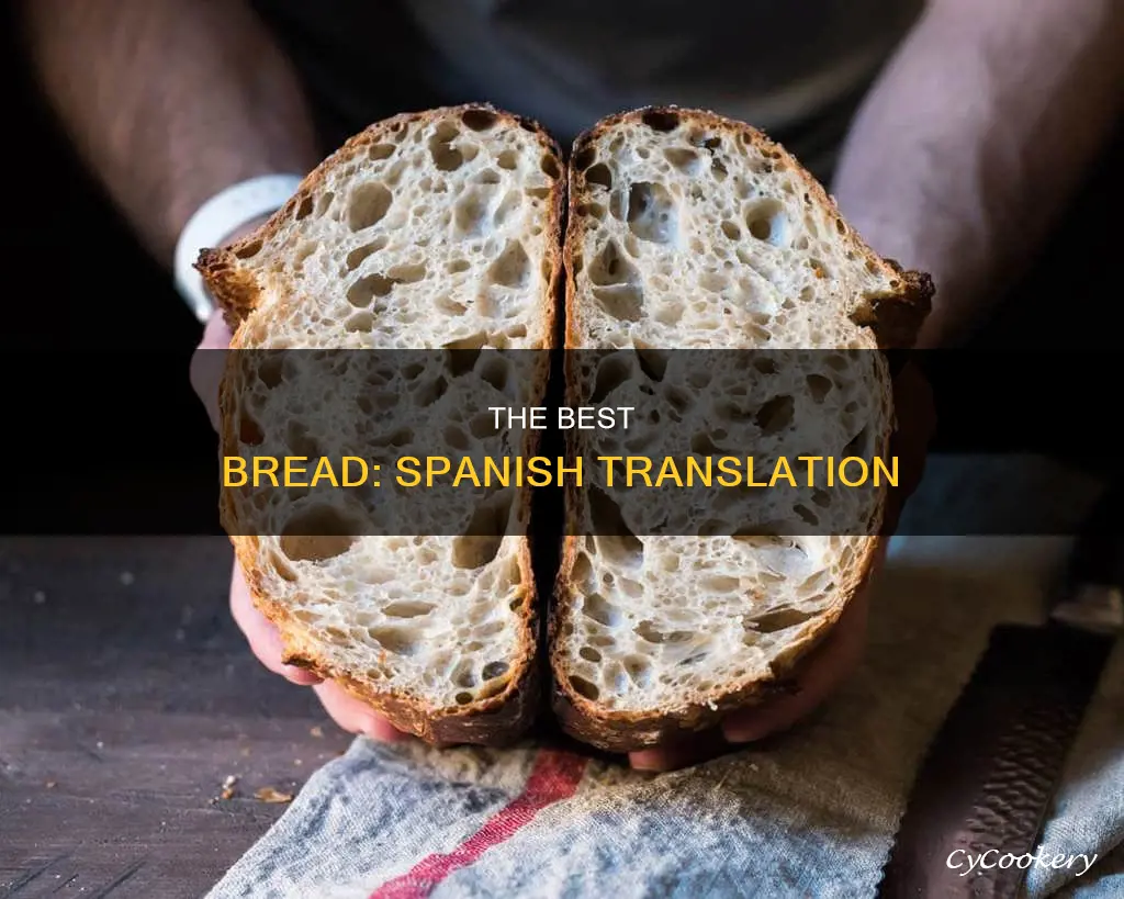 es el mejor pan translation