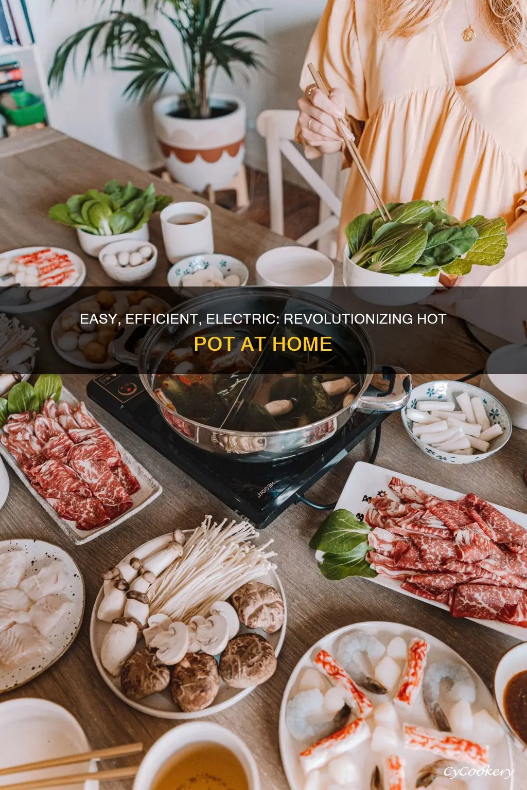 es electric hot pot steamboat