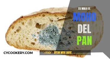 ¿Es el moho del pan peligroso para la salud?